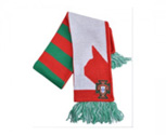 Nike scarfofficial portugal 2010/2012